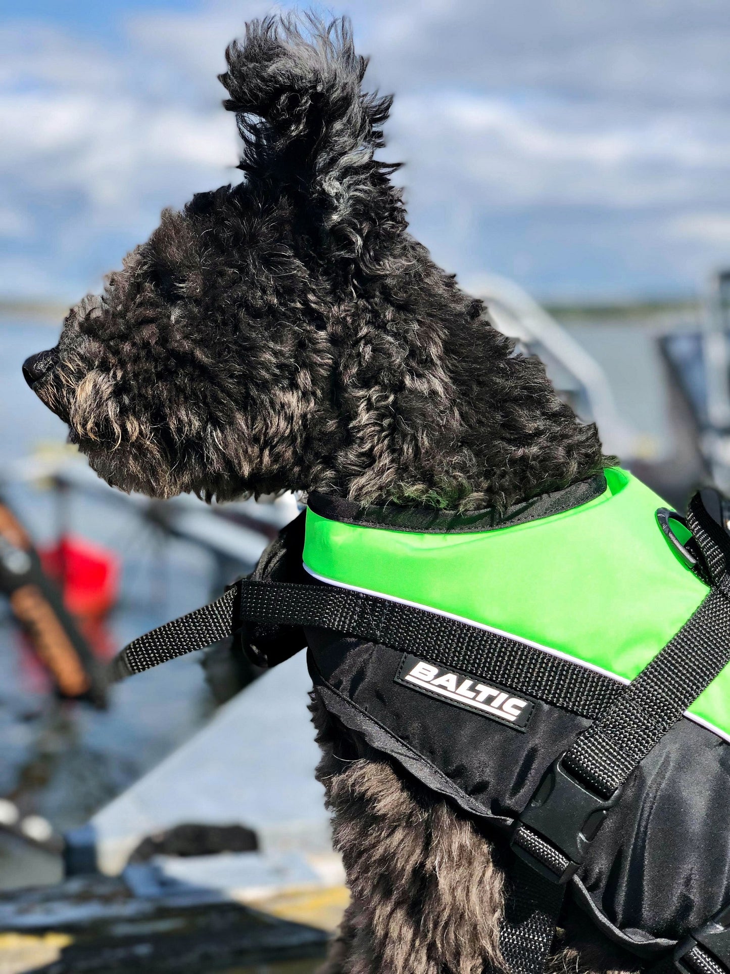BALTIC Dog Vest Mascot