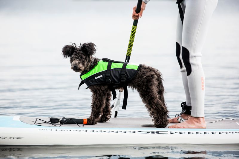 BALTIC Dog Vest Mascot