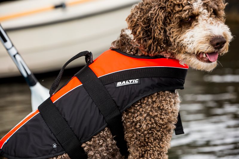 BALTIC Dog Vest Mascot