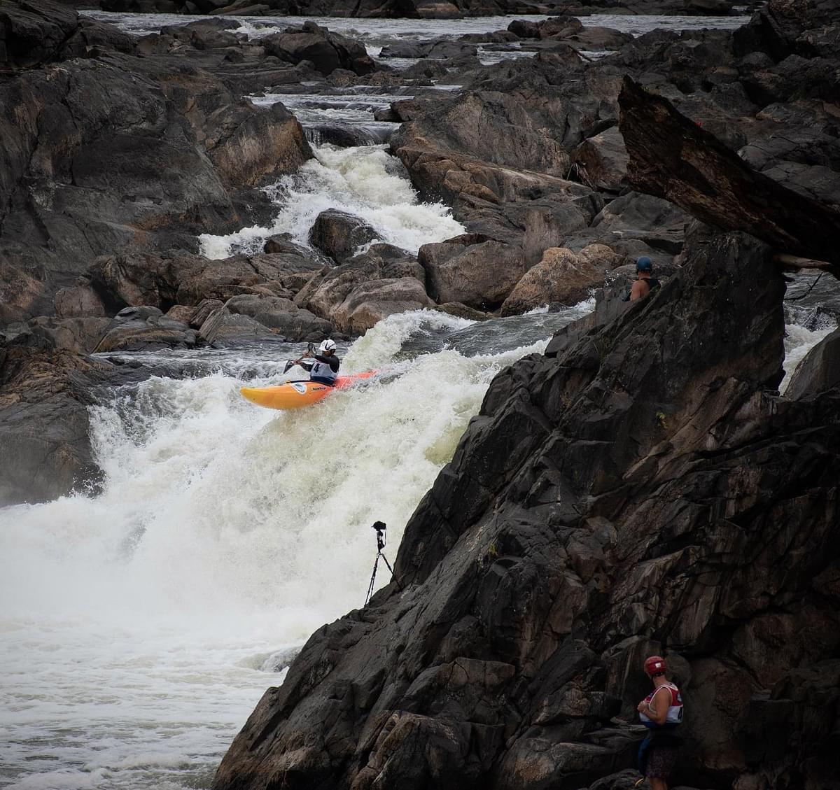 LIQUIDLOGIC Stinger XP