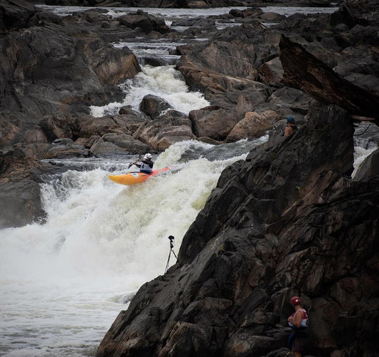 LIQUIDLOGIC Stinger XP